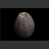 Avocat001.jpg