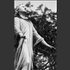 Pleureuse-016.jpg