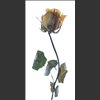 Roses-2021-028.jpg