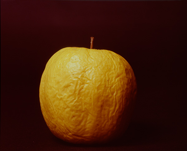 pomme-1.jpg